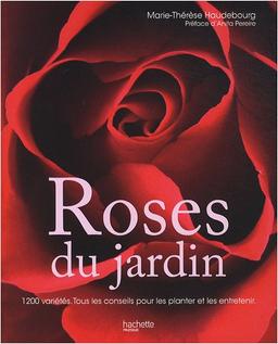 Roses du jardin