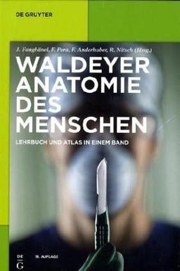 Anatomie des Menschen