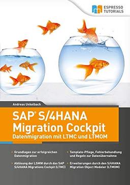 SAP S/4HANA Migration Cockpit – Datenmigration mit LTMC und LTMOM