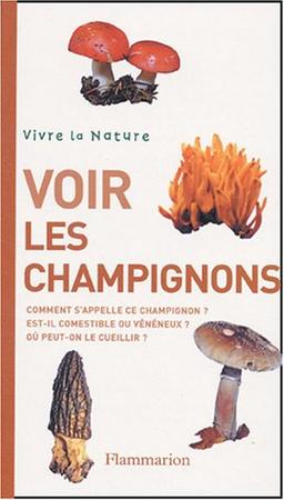 Voir les champignons