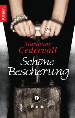 Schöne Bescherung: Roman