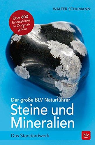 Der große BLV Naturführer Steine- und Mineralienführer: Das Standardwerk