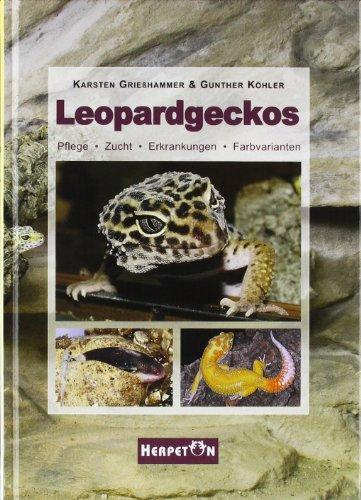 Leopardgeckos: Pflege, Zucht, Erkrankungen, Farbvarianten