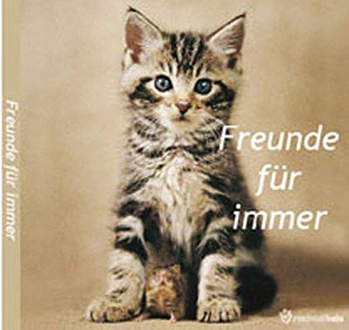 Rachael Hale Freunde für immer: Rachael Hale Geschenkbuch