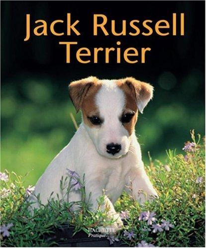 Jack Russell terrier