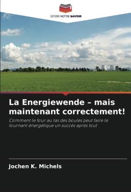 La Energiewende – mais maintenant correctement!: Comment le four au tas des boules peut faire le tournant énergétique un succès après tout