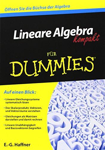 Lineare Algebra kompakt für Dummies (Fur Dummies)