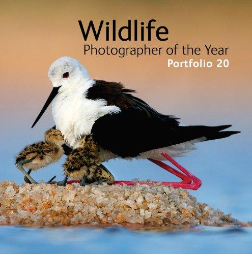 Wildlife Photographer of the Year Portfolio 20 (Portfolio (Natural History Museum))