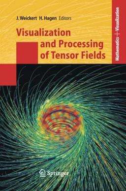 Visualization and Processing of Tensor Fields (Mathematics and Visualization)