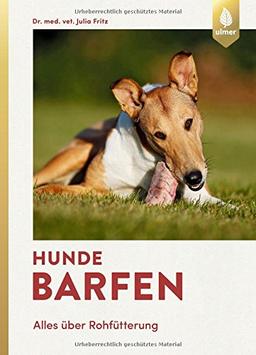 Hunde barfen: Alles über Rohfütterung