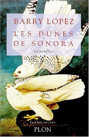 Les dunes de Sonora