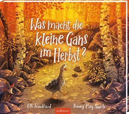 Was macht die kleine Gans im Herbst?: Kinderbuch ab 3, über mutige Gans & Suche nach Platz in der Welt