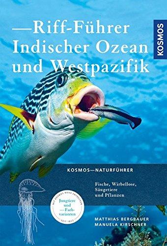 Riff-Führer Indischer Ozean und Westpazifik