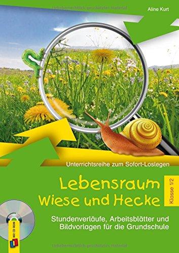 Lebensraum Wiese und Hecke - Klasse 1/2: Stundenverläufe, Arbeitsblätter und Bildvorlagen für die Grundschule (Unterrichtsreihe zum Sofort-Loslegen)