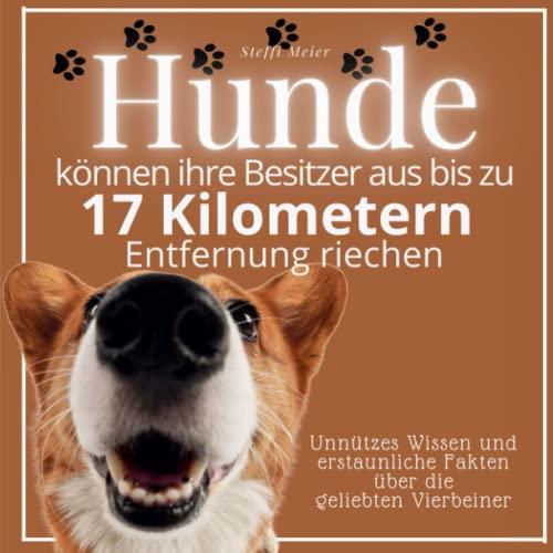 Hunde können ihre Besitzer aus bis zu 17 Kilometern Entfernung riechen: Unnützes Wissen und erstaunliche Fakten über die geliebten Vierbeiner