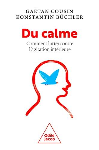 Du calme : comment lutter contre l'agitation intérieure