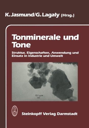 Tonminerale und Tone. Struktur, Eigenschaften, Anwendung und Einsatz in Industrie und Umwelt