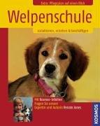 Welpenschule: Sozialisieren, erziehen & beschäftigen