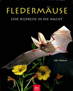 Fledermäuse. Eine Bildreise in die Nacht