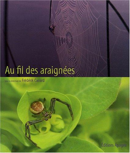 Au fil des araignées