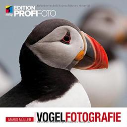 Vogelfotografie (mitp Edition ProfiFoto)