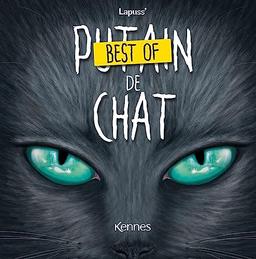 Best of Putain de chat