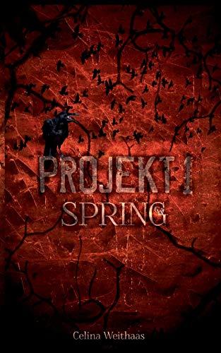 Projekt I: Spring (Die Chroniken des Grauen Mannes)