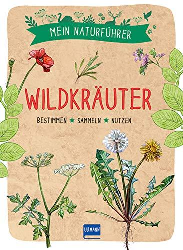 Mein Naturführer: Wildkräuter