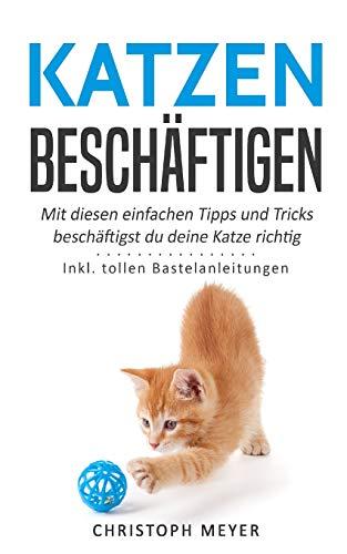 Katzen beschäftigen: Mit diesen einfachen Tipps und Tricks beschäftigst du deine Katze richtig - Inkl. tollen Bastelanleitungen (Katzen trainieren, Band 4)