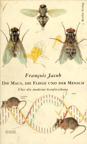 Die Maus, die Fliege und der Mensch