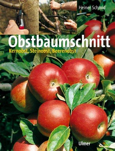 Obstbaumschnitt. Kernobst, Steinobst, Beerenobst