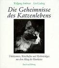 Die Geheimnisse des Katzenlebens. Verblüffendes, Unbekanntes, Rätselhaftes & Merkwürdiges aus dem Alltag einer Hauskatze