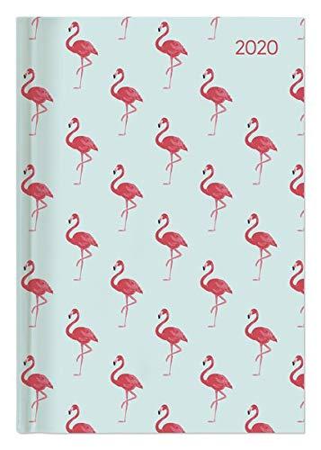 Buchkalender Style Flamingos 2020 - Bürokalender A5 - Cheftimer - 1 Tag 1 Seite - 352 Seiten - Terminplaner - Notizbuch