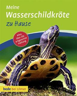 Meine Wasserschildkröte zu Hause