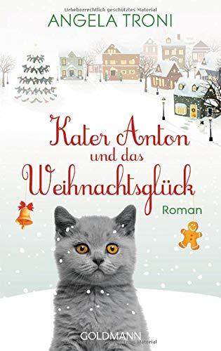 Kater Anton und das Weihnachtsglück: Kater Anton 1 - Roman