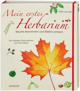 Mein erstes Herbarium - Bäume bestimmen und Blätter pressen