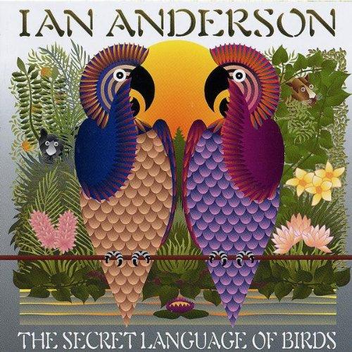 The Secret Language of Birds