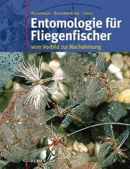 Entomologie für Fliegenfischer: Vom Vorbild zur Nachahmung