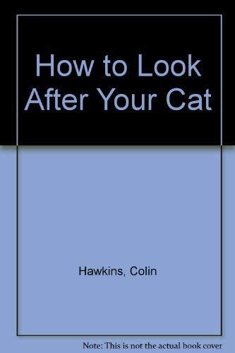 How to Look After Your Cat