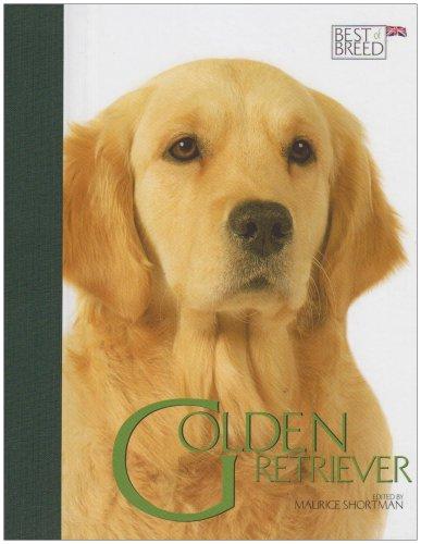 Golden Retriever (Best of Breed)