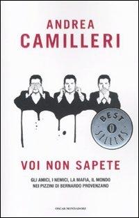 Voi non sapete: Gli amici, i nemici, la mafia, il mondo nei pizzini di Bernardo Provenzano