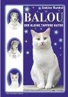 Balou. Der kleine, tapfere Kater