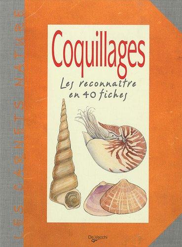 Coquillages : les reconnaître en 40 fiches