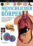 Menschlicher Körper