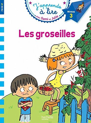 Les groseilles : niveau 3