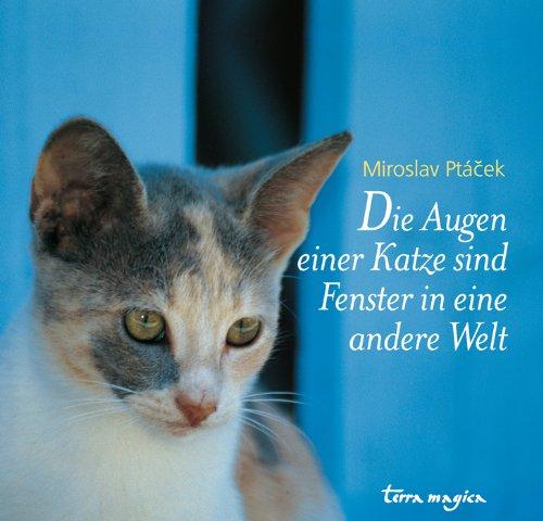 Die Augen einer Katze sind Fenster in eine andere Welt