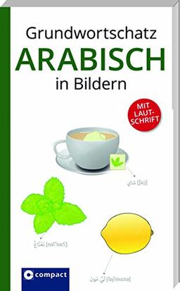 Grundwortschatz Arabisch in Bildern: Bildwörterbuch mit 1500 Begriffen & Lautschrift (Grundwortschatz in Bildern)