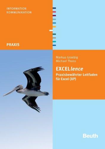 EXCELlence: Praxisbewährter Leitfaden für Excel (XP)