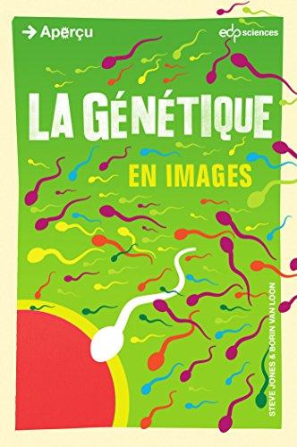 La génétique en images