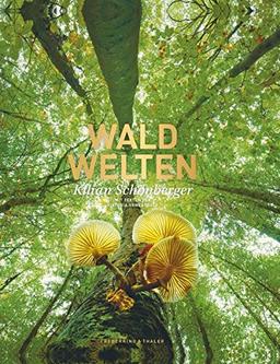 Waldwelten